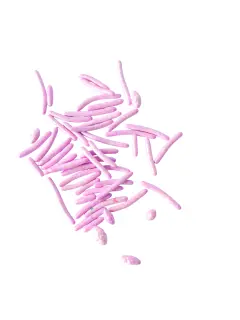 Palitos morado claro