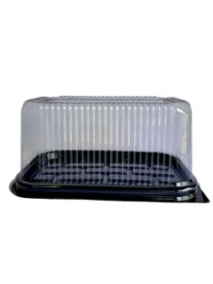 Tortera rectangular base negra domo transparente