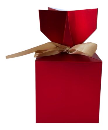 CAJA DIANA C/CINTA