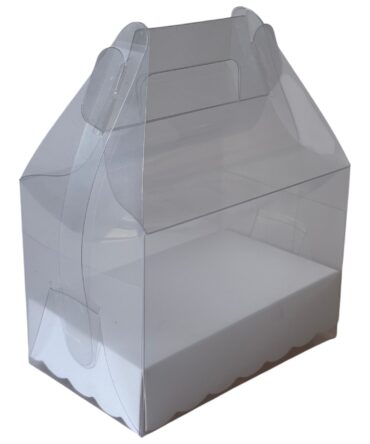 LONCHERA DE ACETATO 13x8x9cm (2060)