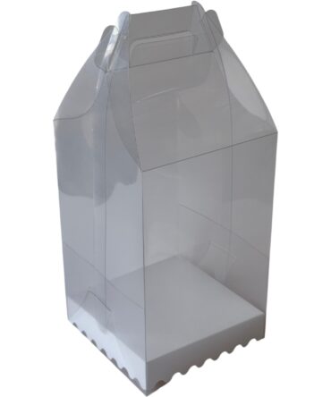 LONCHERA DE ACETATO 27x11cm (2062)